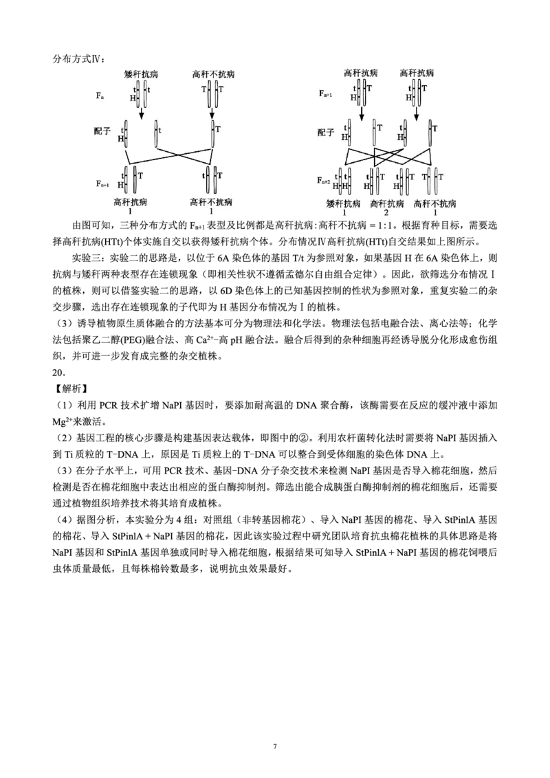 四川省成都市蓉城名校联盟2025届高三上学期第一次联合性诊断性考试生物答案_2024-2025高三（6-6月题库）_2024年12月试卷