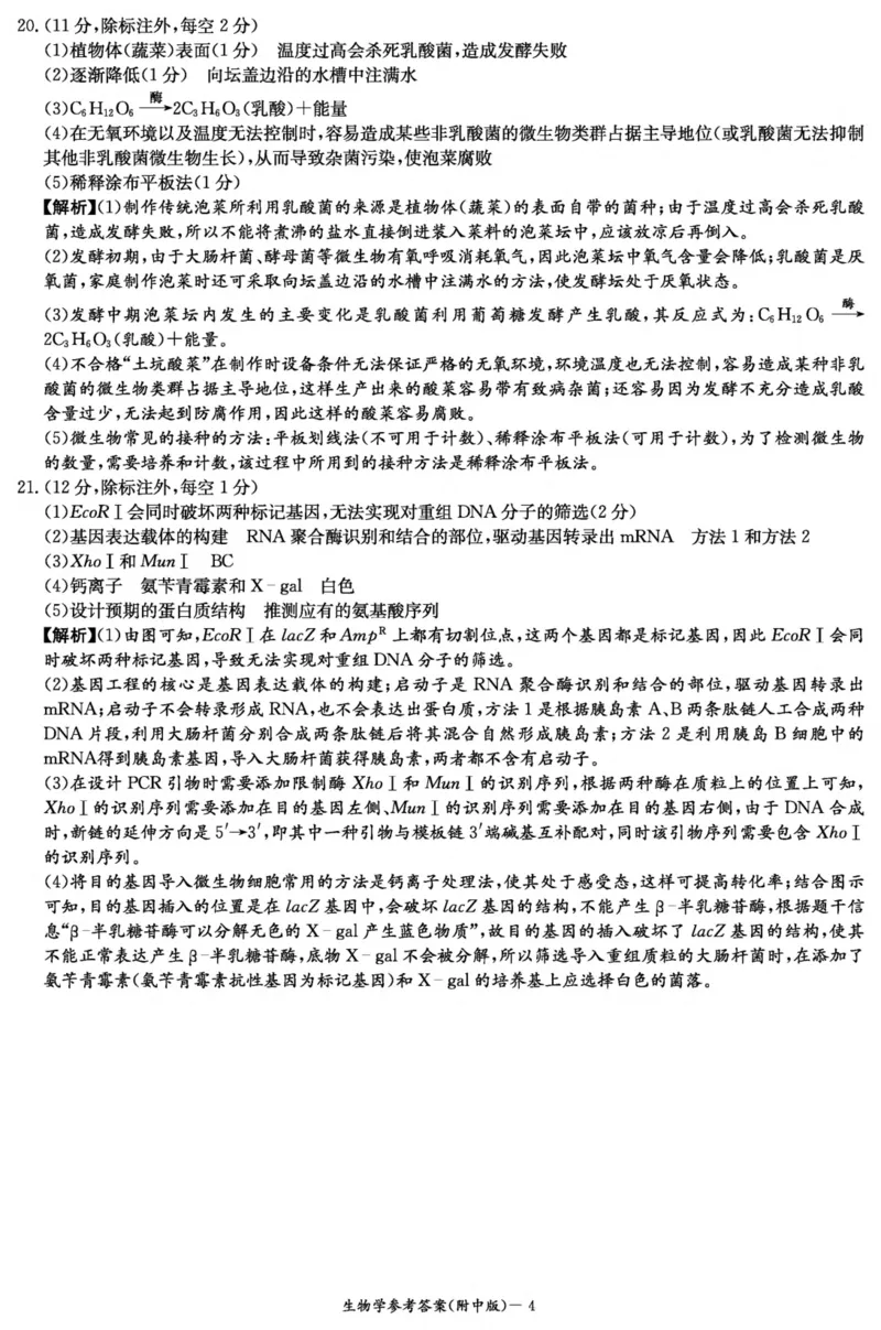 生物答案（附中6次）_2024年3月_013月合集_2024届湖南省师范大学附属中学高三月考(六)_湖南师范大学附属中学2023-2024学年高三下学期第六次月考生物试题