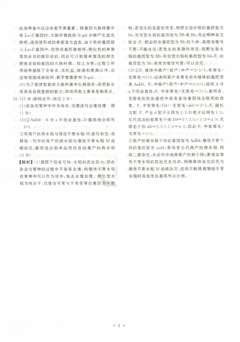 河北省沧州市三校联考2024-2025学年高三上学期11月期中考试生物PDF版含解析_2024-2025高三（6-6月题库）_2024年11月试卷_1128河北省沧州市三校联考2024-2025学年高三上学期11月期中考试