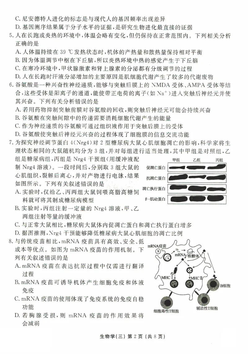 河北省沧州市三校联考2024-2025学年高三上学期11月期中考试生物PDF版含解析_2024-2025高三（6-6月题库）_2024年11月试卷_1128河北省沧州市三校联考2024-2025学年高三上学期11月期中考试