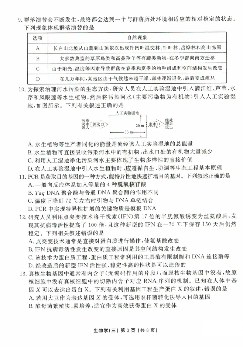 河北省沧州市三校联考2024-2025学年高三上学期11月期中考试生物PDF版含解析_2024-2025高三（6-6月题库）_2024年11月试卷_1128河北省沧州市三校联考2024-2025学年高三上学期11月期中考试
