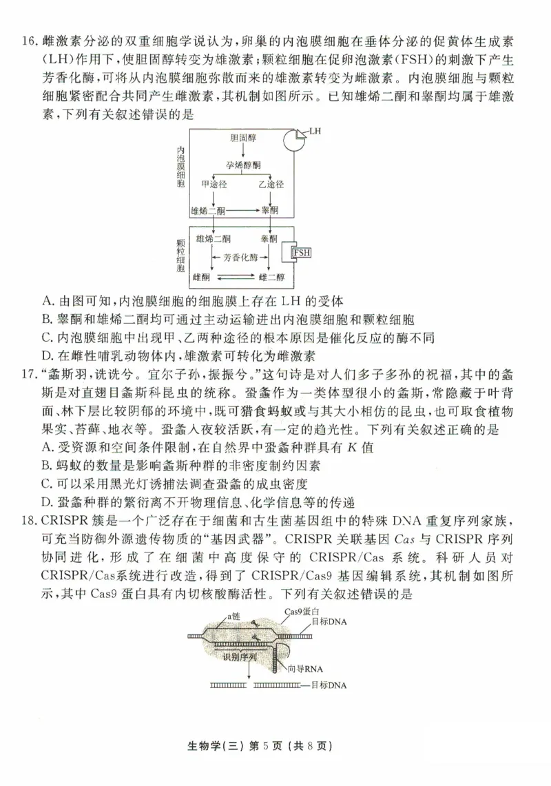 河北省沧州市三校联考2024-2025学年高三上学期11月期中考试生物PDF版含解析_2024-2025高三（6-6月题库）_2024年11月试卷_1128河北省沧州市三校联考2024-2025学年高三上学期11月期中考试