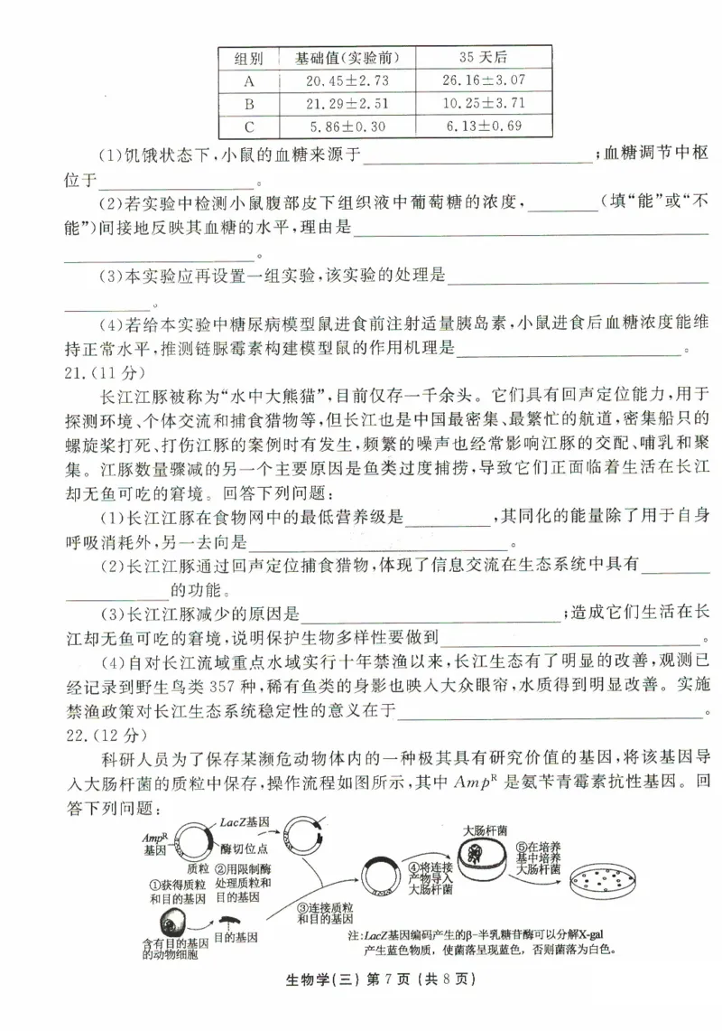 河北省沧州市三校联考2024-2025学年高三上学期11月期中考试生物PDF版含解析_2024-2025高三（6-6月题库）_2024年11月试卷_1128河北省沧州市三校联考2024-2025学年高三上学期11月期中考试