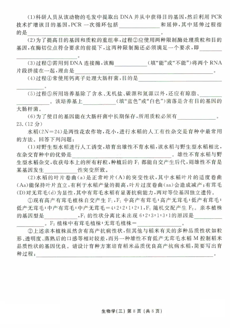 河北省沧州市三校联考2024-2025学年高三上学期11月期中考试生物PDF版含解析_2024-2025高三（6-6月题库）_2024年11月试卷_1128河北省沧州市三校联考2024-2025学年高三上学期11月期中考试