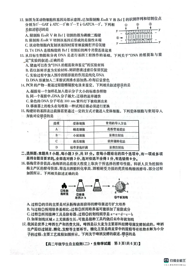 山东省菏泽市鄄城县第一中学2024-2025学年高二下学期4月月考生物试题（扫描版，含答案）_2024-2025高二（7-7月题库）_2025年05月试卷