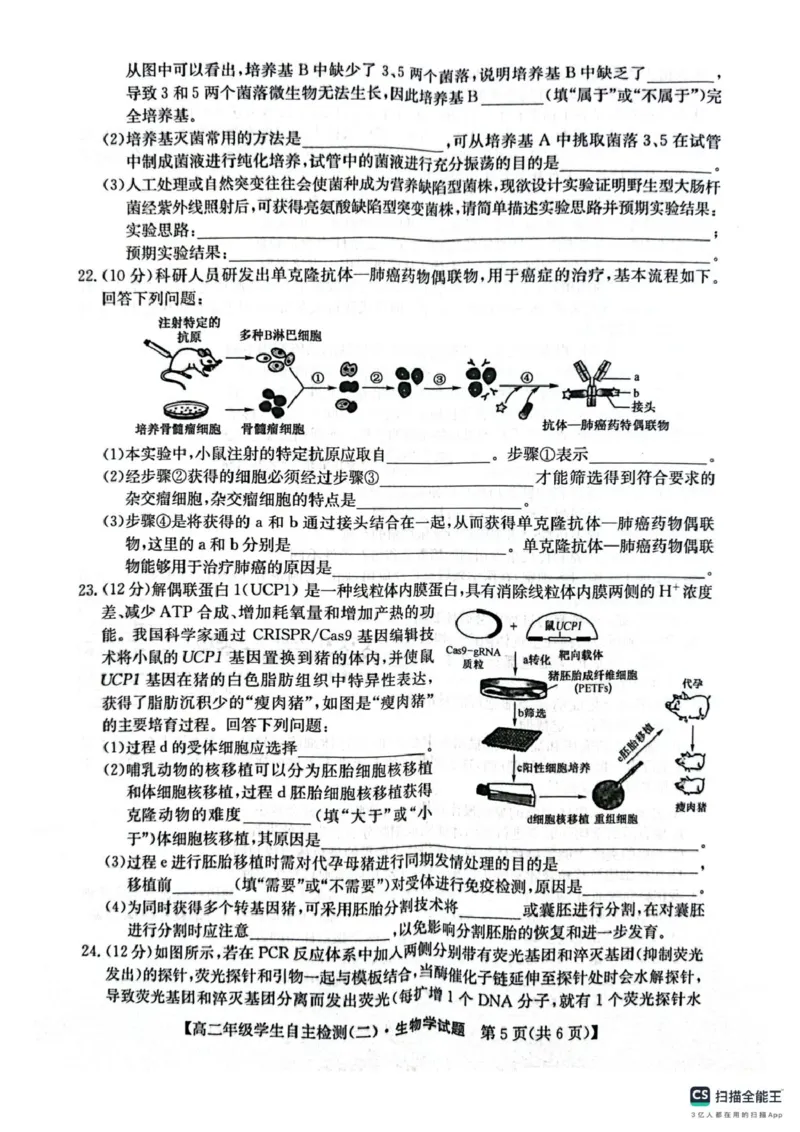 山东省菏泽市鄄城县第一中学2024-2025学年高二下学期4月月考生物试题（扫描版，含答案）_2024-2025高二（7-7月题库）_2025年05月试卷