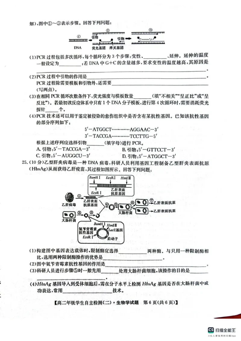 山东省菏泽市鄄城县第一中学2024-2025学年高二下学期4月月考生物试题（扫描版，含答案）_2024-2025高二（7-7月题库）_2025年05月试卷