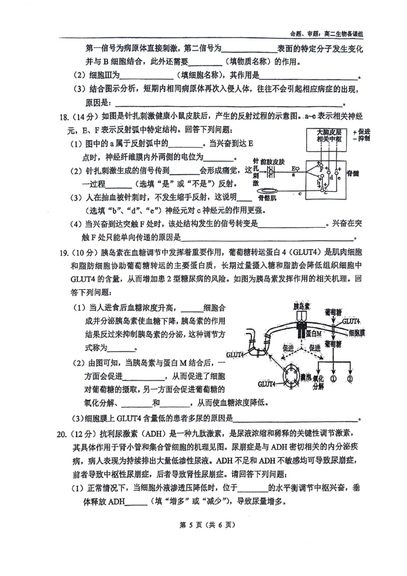 南宁二中2025-09月考高二生物试卷_2025年10月高二试卷_251011广西南宁二中2025-2026学年上学期高二9月月考_南宁二中2025-2026学年上学期高二9月月考生物