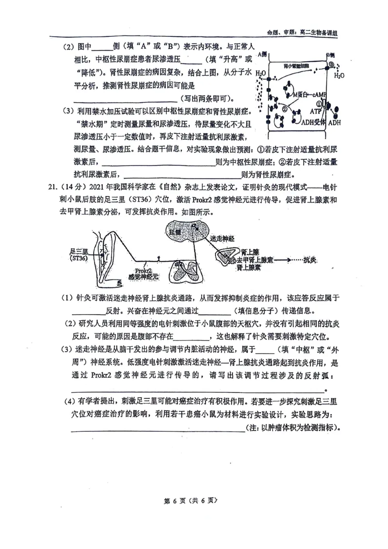 南宁二中2025-09月考高二生物试卷_2025年10月高二试卷_251011广西南宁二中2025-2026学年上学期高二9月月考_南宁二中2025-2026学年上学期高二9月月考生物