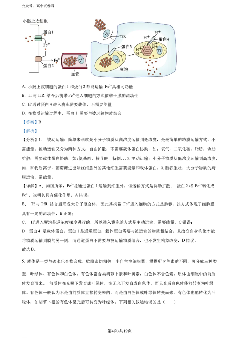 精品解析：2024年重庆市普通高中学业水平选择性考试高考模拟调研卷（三）生物试题（解析版）_2024年3月_013月合集_2024届重庆市（康德卷）高考模拟调研卷（三）