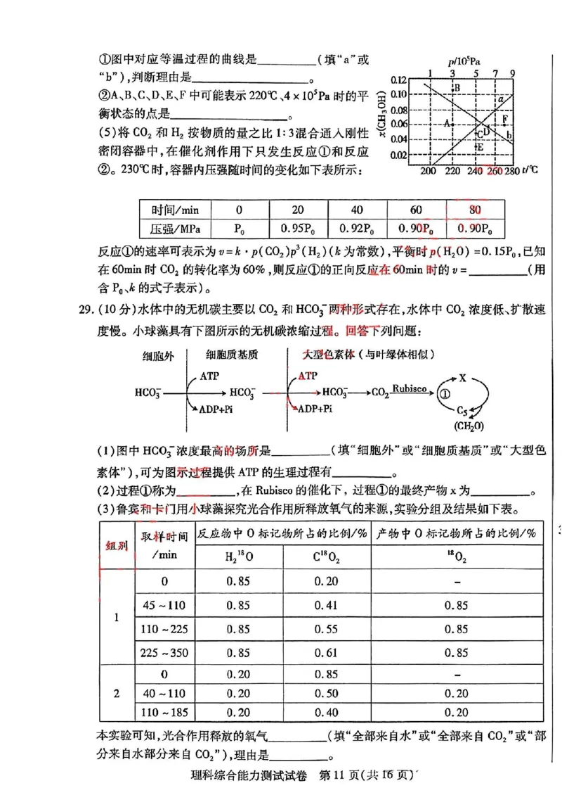 理综_2024年4月_01按日期_29号_2024届内蒙古自治区包头市高三下学期三模_2024届内蒙古自治区包头市高三下学期第三次模拟考试理综