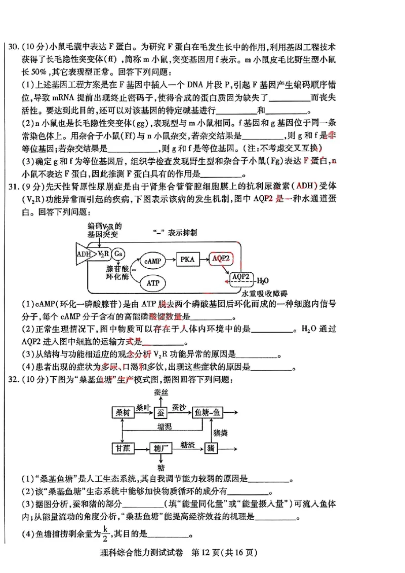 理综_2024年4月_01按日期_29号_2024届内蒙古自治区包头市高三下学期三模_2024届内蒙古自治区包头市高三下学期第三次模拟考试理综