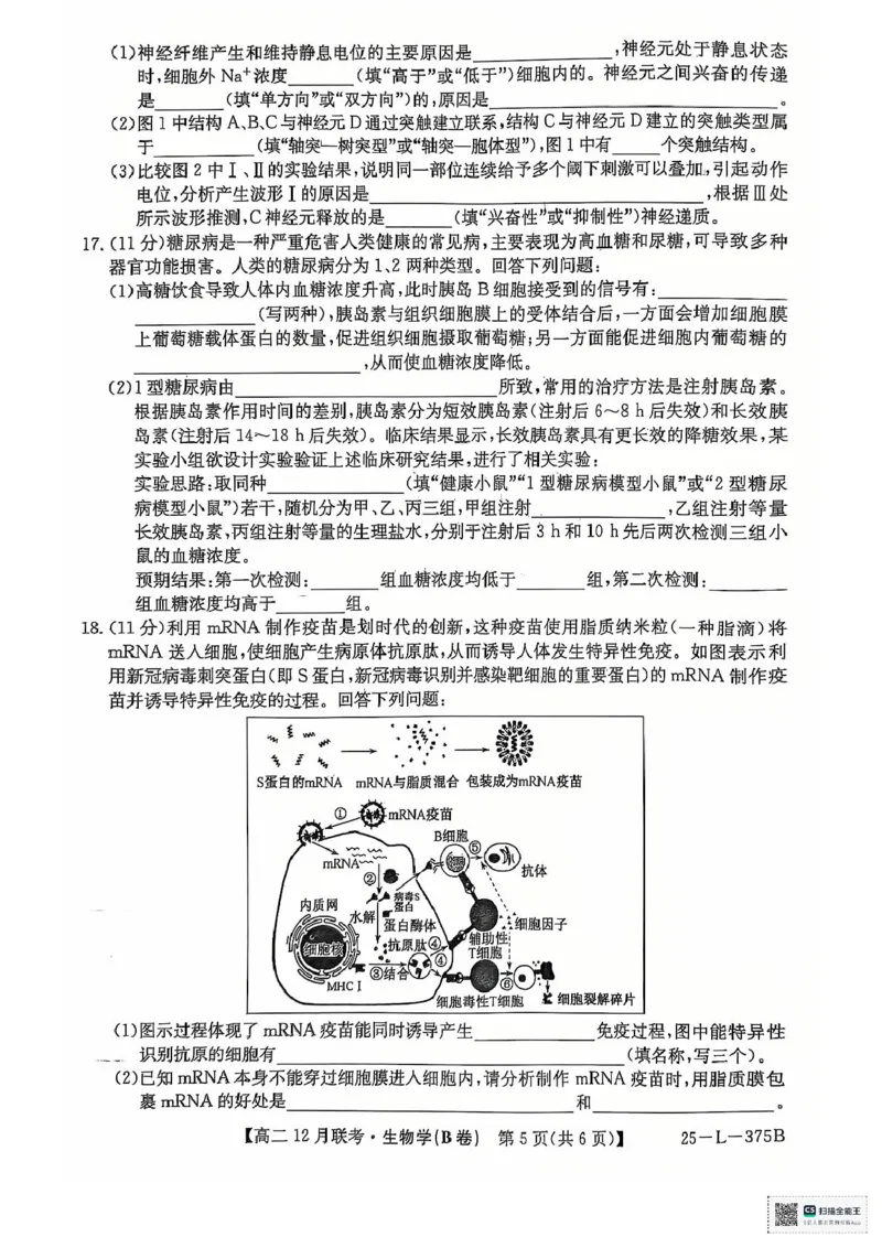 安徽省县中联考2024-2025学年高二上学期12月月考生物试题（PDF版，无答案）_2024-2025高二（7-7月题库）_2024年12月试卷_1220安徽省县中联盟2024-2025学年高二上学期12月月考