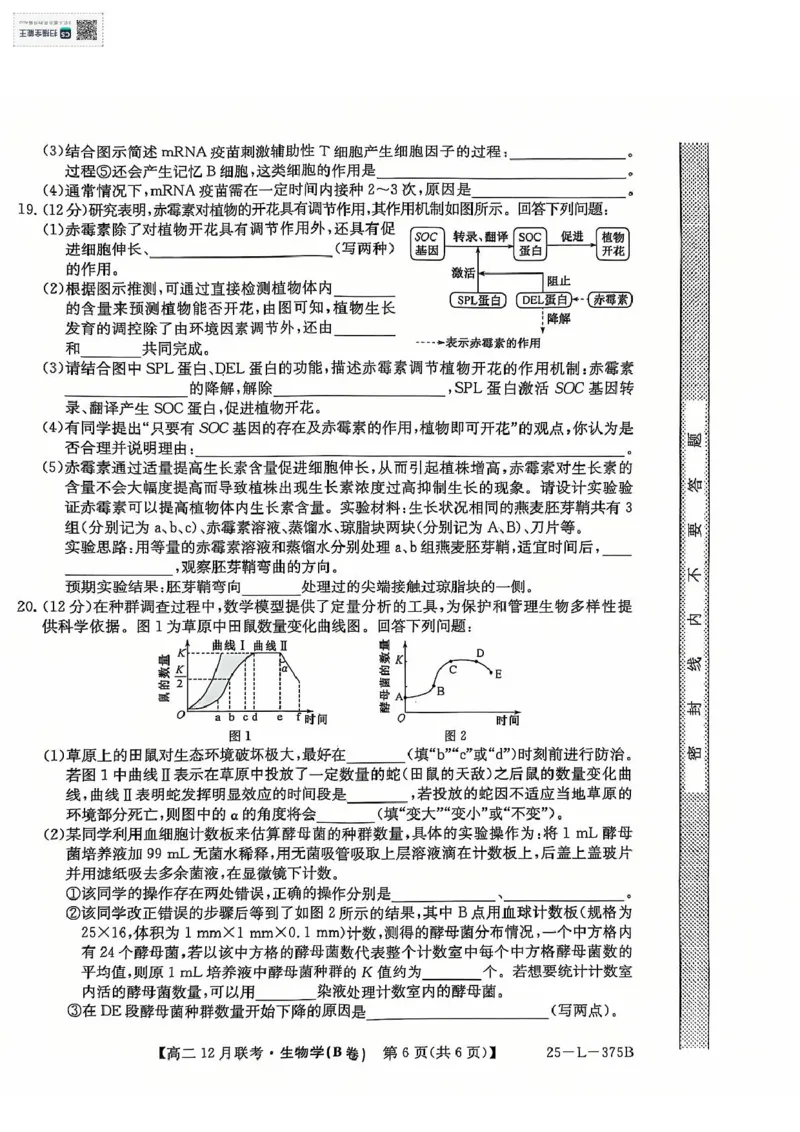 安徽省县中联考2024-2025学年高二上学期12月月考生物试题（PDF版，无答案）_2024-2025高二（7-7月题库）_2024年12月试卷_1220安徽省县中联盟2024-2025学年高二上学期12月月考