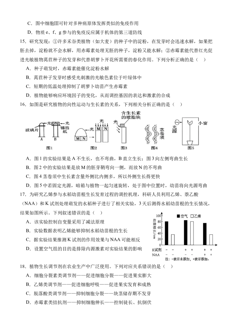 四川省内江市威远中学校2025-2026学年高二上学期12月月考生物试题（含部分解析）_251216四川省内江市威远中学校2025-2026学年高二上学期12月月考（全）