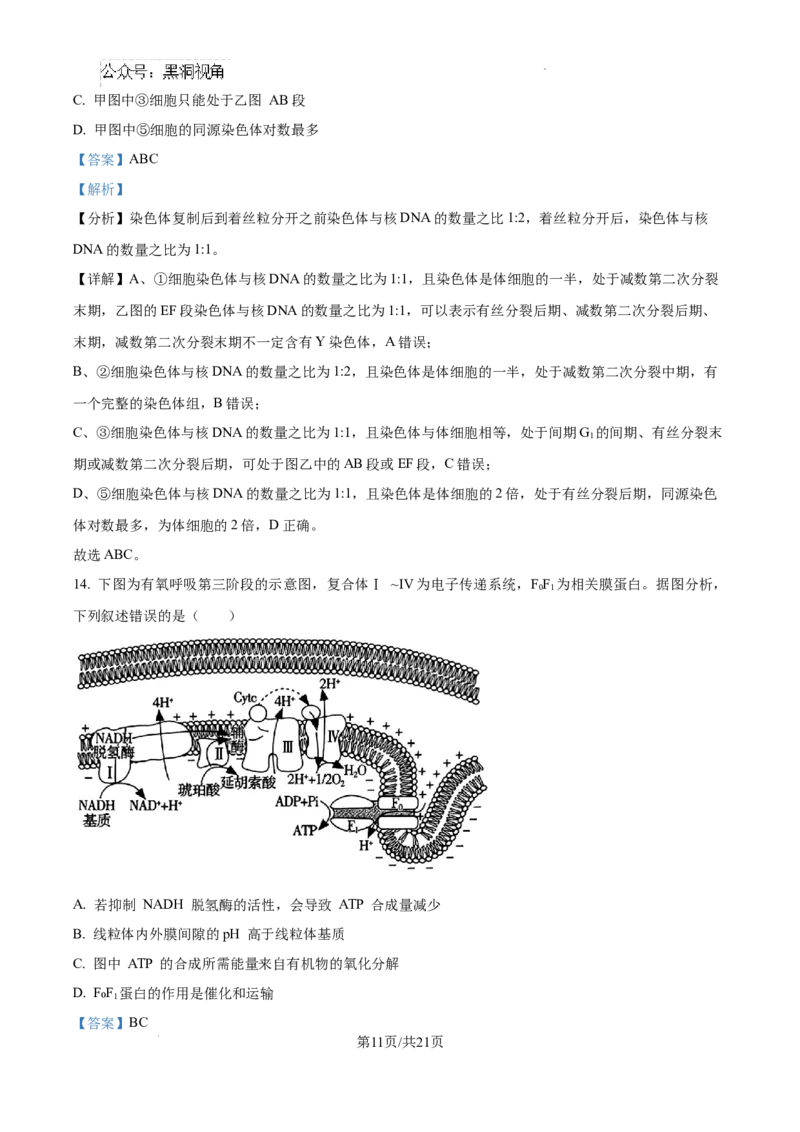 江西省南昌市第十中学2024-2025学年高三上学期第一次月考生物答案_2024-2025高三（6-6月题库）_2024年10月试卷_1026江西省南昌市第十中学2024-2025学年高三上学期第一次月考（全）