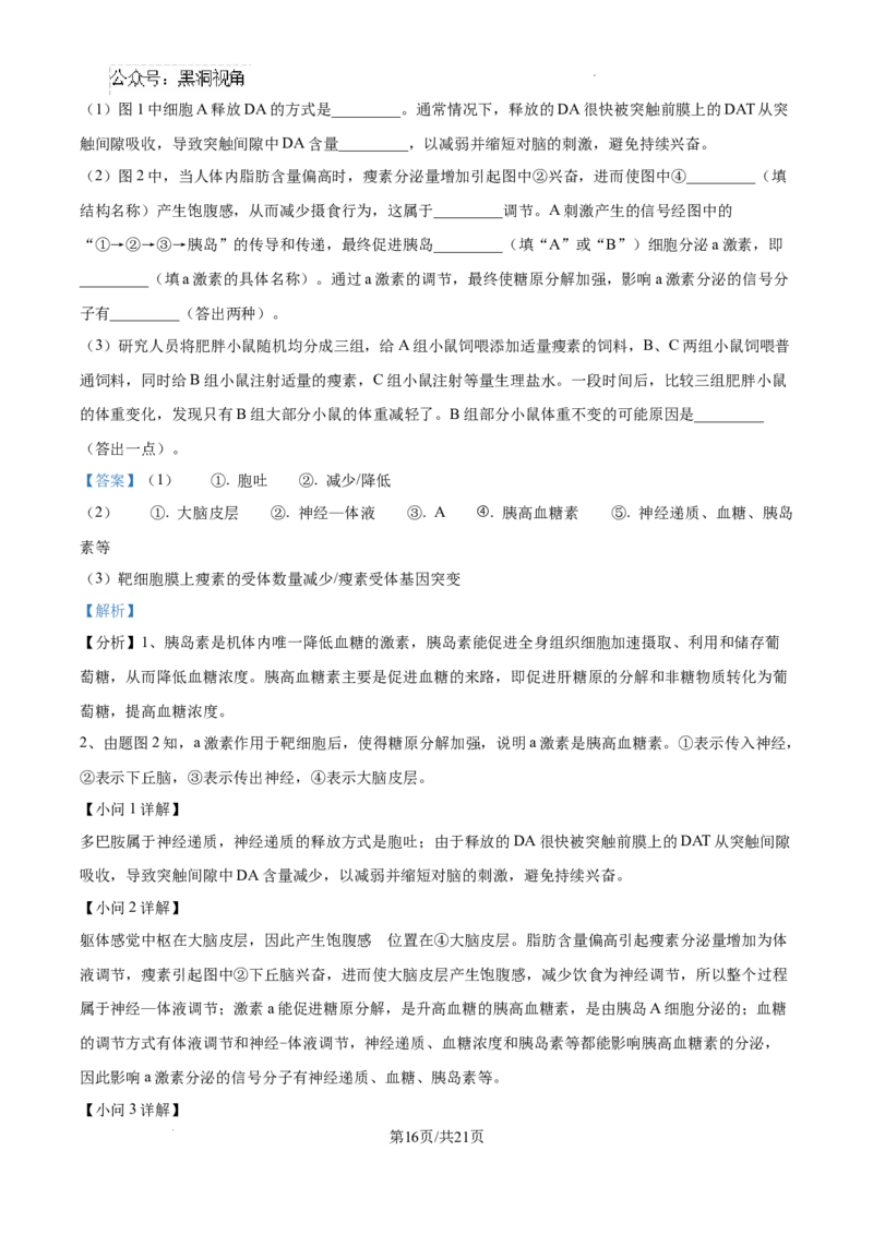 江西省南昌市第十中学2024-2025学年高三上学期第一次月考生物答案_2024-2025高三（6-6月题库）_2024年10月试卷_1026江西省南昌市第十中学2024-2025学年高三上学期第一次月考（全）