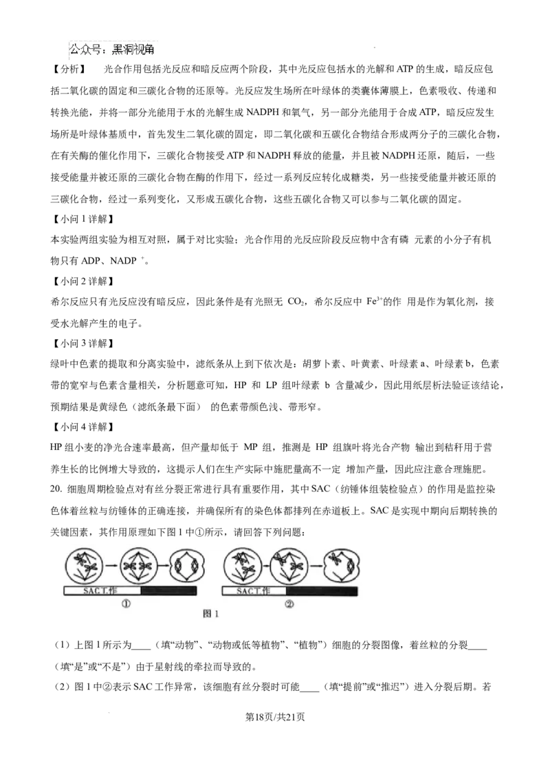 江西省南昌市第十中学2024-2025学年高三上学期第一次月考生物答案_2024-2025高三（6-6月题库）_2024年10月试卷_1026江西省南昌市第十中学2024-2025学年高三上学期第一次月考（全）