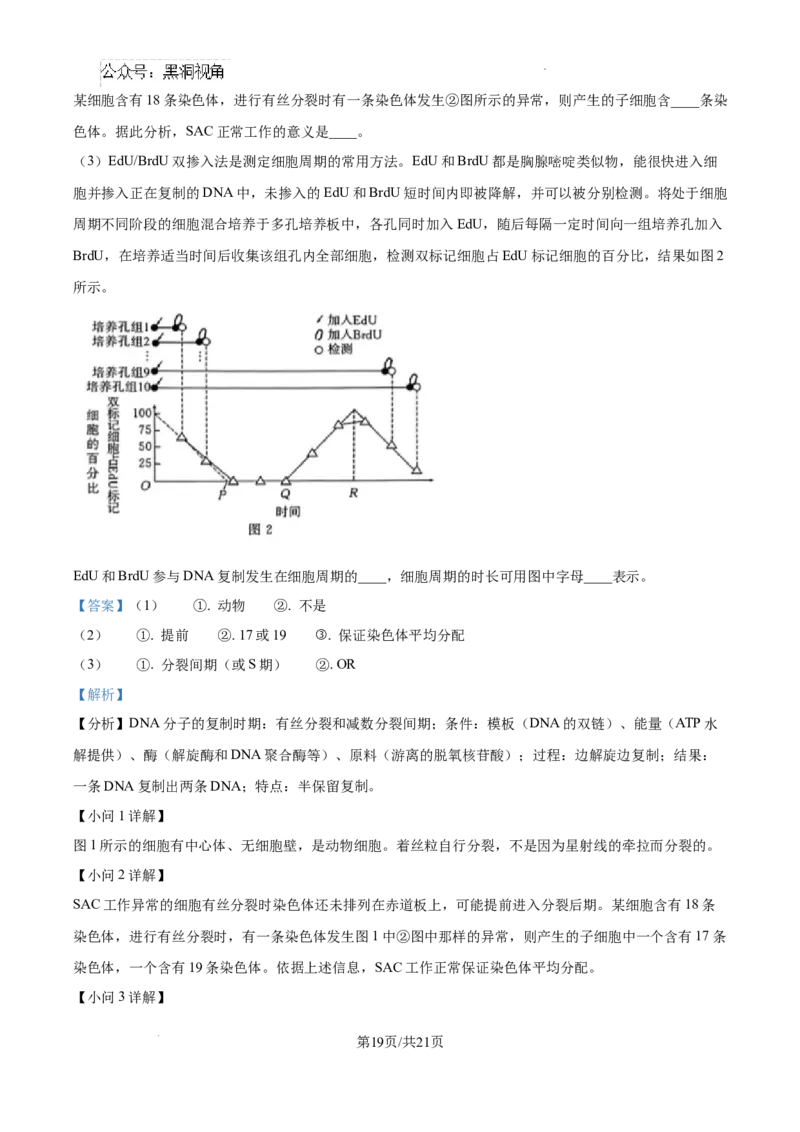 江西省南昌市第十中学2024-2025学年高三上学期第一次月考生物答案_2024-2025高三（6-6月题库）_2024年10月试卷_1026江西省南昌市第十中学2024-2025学年高三上学期第一次月考（全）