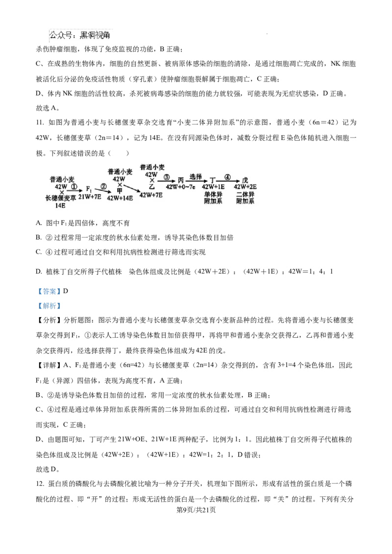 江西省南昌市第十中学2024-2025学年高三上学期第一次月考生物答案_2024-2025高三（6-6月题库）_2024年10月试卷_1026江西省南昌市第十中学2024-2025学年高三上学期第一次月考（全）