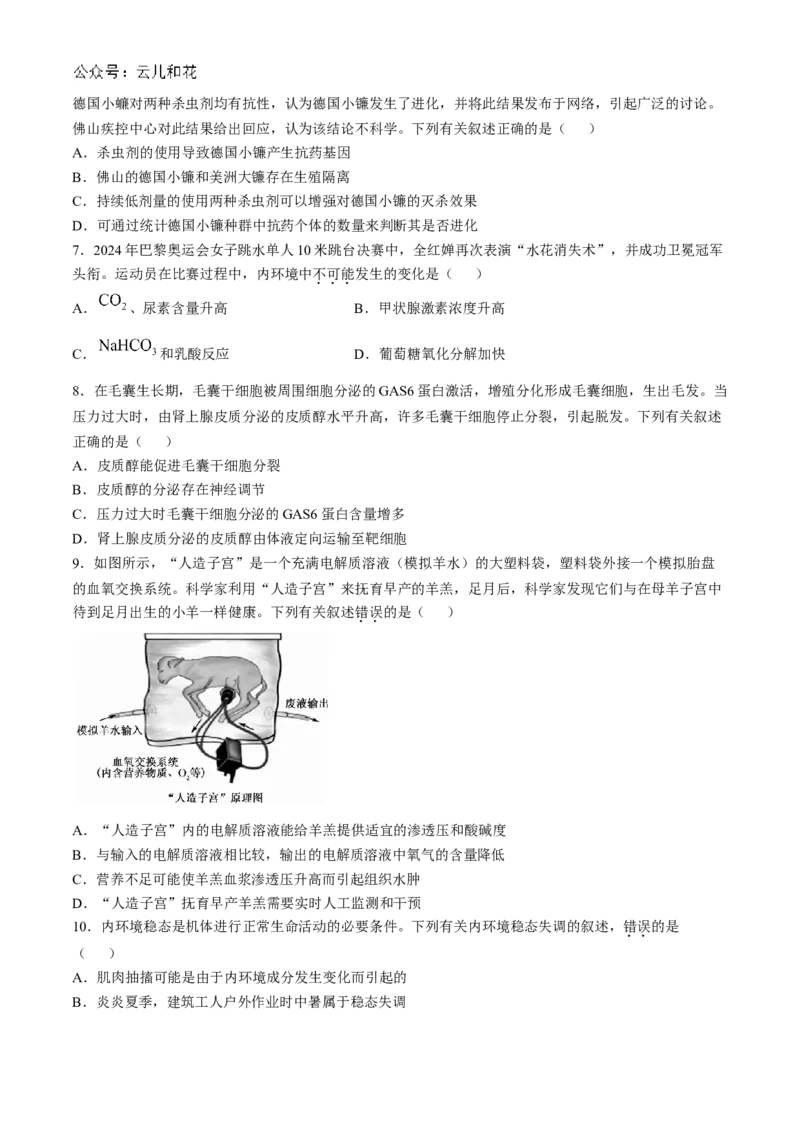 广东省深圳市深圳盟校2024-2025学年高二上学期11月期中考试生物试题_2024-2025高二（7-7月题库）_2024年11月试卷_1118广东省深圳市盟校联盟2024-2025学年高二上学期11月期中考试