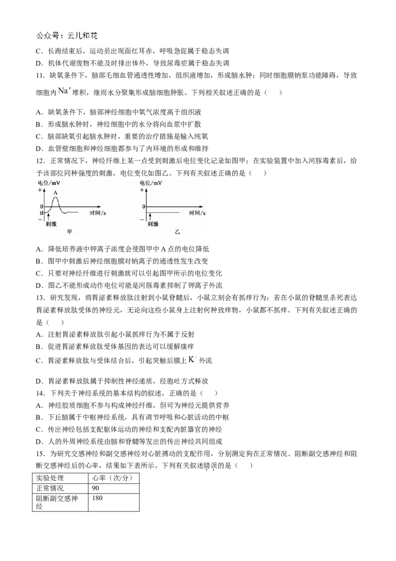 广东省深圳市深圳盟校2024-2025学年高二上学期11月期中考试生物试题_2024-2025高二（7-7月题库）_2024年11月试卷_1118广东省深圳市盟校联盟2024-2025学年高二上学期11月期中考试
