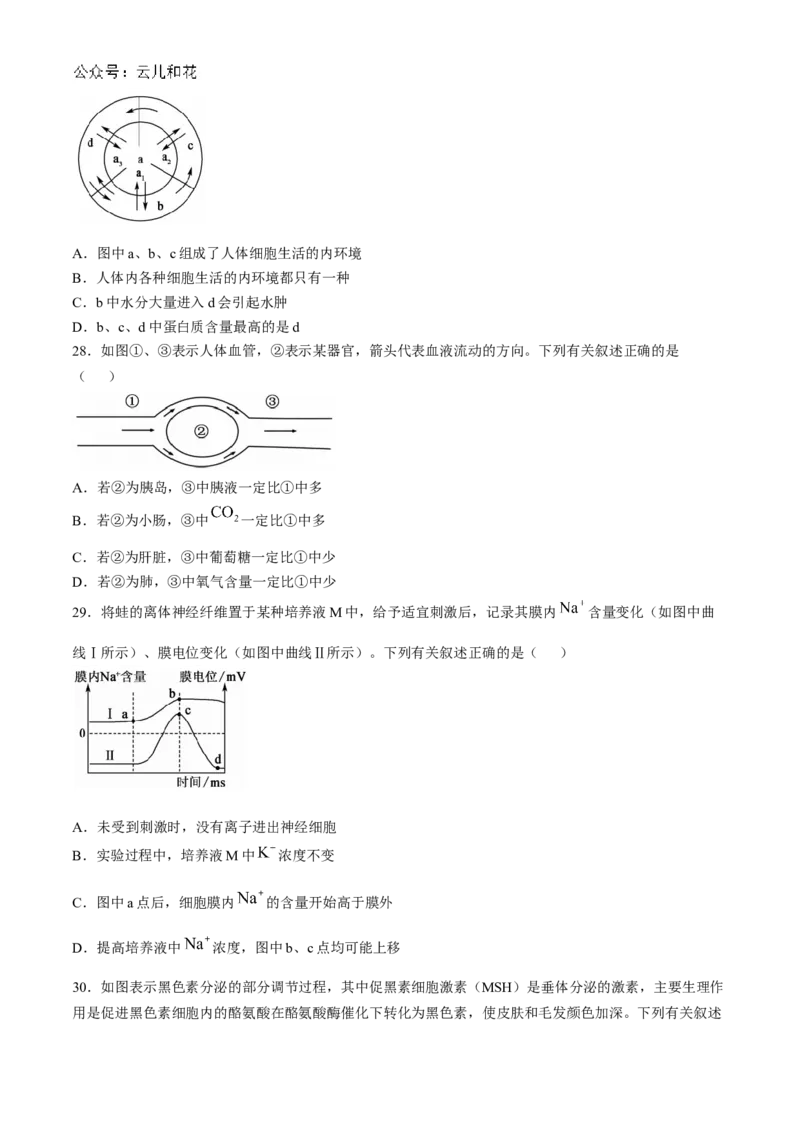广东省深圳市深圳盟校2024-2025学年高二上学期11月期中考试生物试题_2024-2025高二（7-7月题库）_2024年11月试卷_1118广东省深圳市盟校联盟2024-2025学年高二上学期11月期中考试