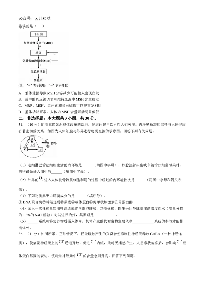广东省深圳市深圳盟校2024-2025学年高二上学期11月期中考试生物试题_2024-2025高二（7-7月题库）_2024年11月试卷_1118广东省深圳市盟校联盟2024-2025学年高二上学期11月期中考试