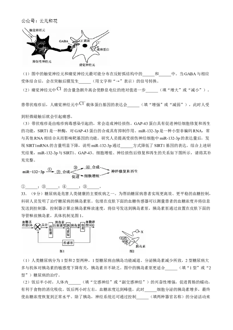 广东省深圳市深圳盟校2024-2025学年高二上学期11月期中考试生物试题_2024-2025高二（7-7月题库）_2024年11月试卷_1118广东省深圳市盟校联盟2024-2025学年高二上学期11月期中考试