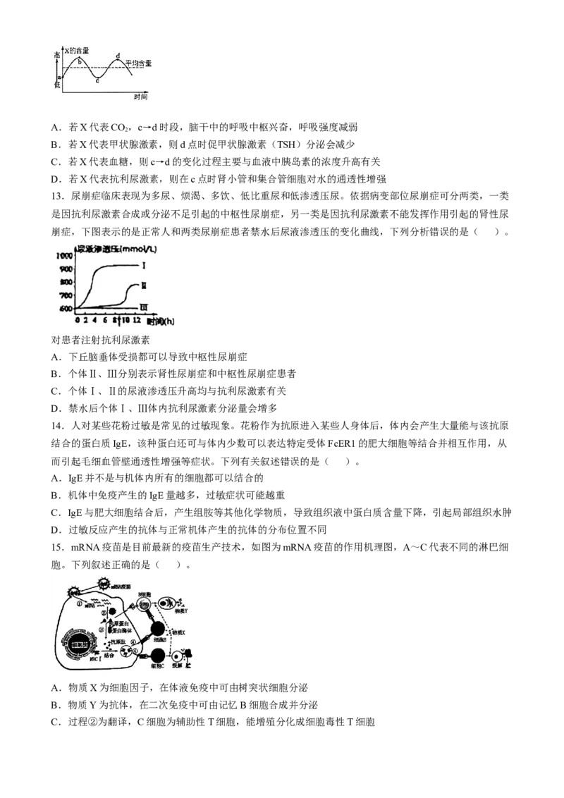吉林省长春市东北师范大学附属中学2024-2025学年高三上学期第二次摸底考试生物学试题（含答案）_2024-2025高三（6-6月题库）_2024年12月试卷