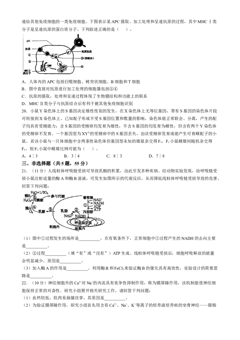 吉林省长春市东北师范大学附属中学2024-2025学年高三上学期第二次摸底考试生物学试题（含答案）_2024-2025高三（6-6月题库）_2024年12月试卷