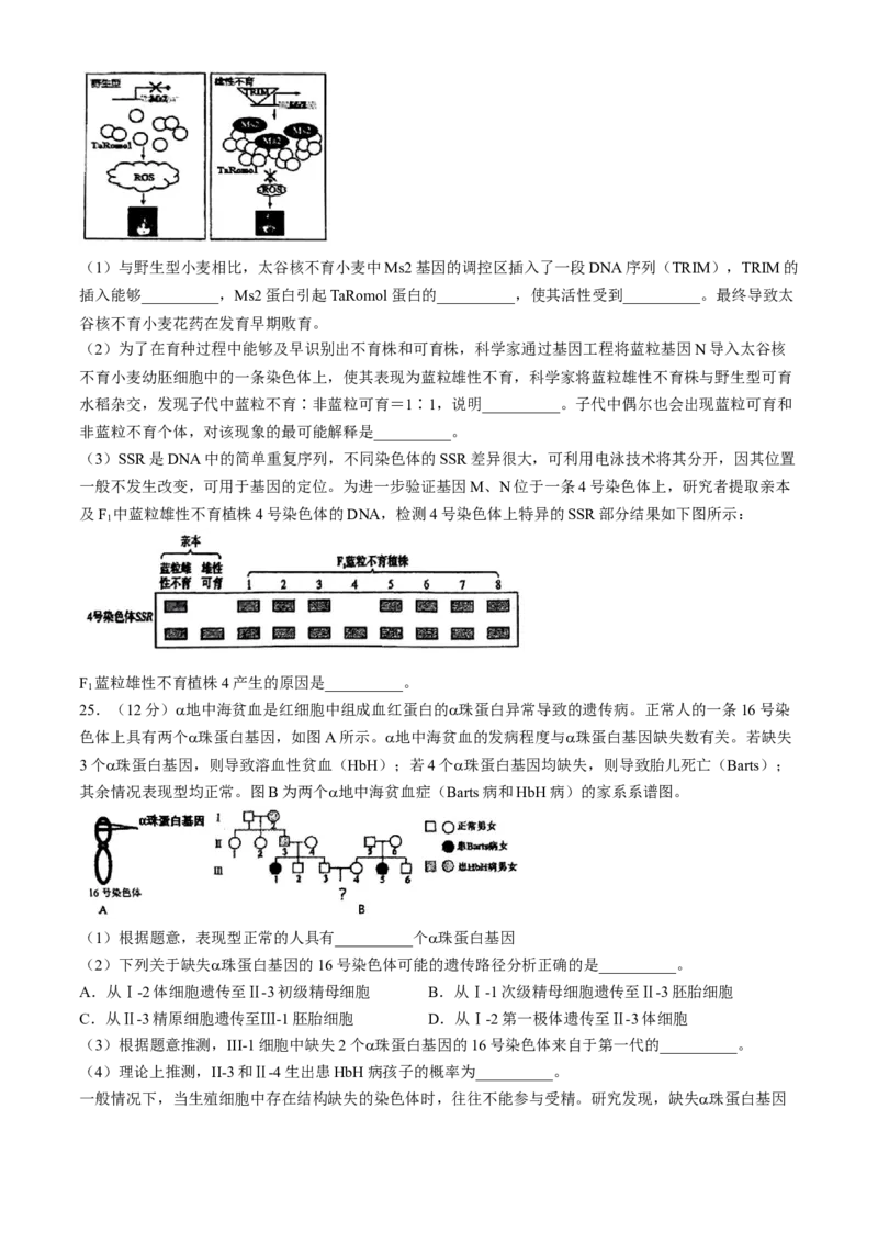 吉林省长春市东北师范大学附属中学2024-2025学年高三上学期第二次摸底考试生物学试题（含答案）_2024-2025高三（6-6月题库）_2024年12月试卷