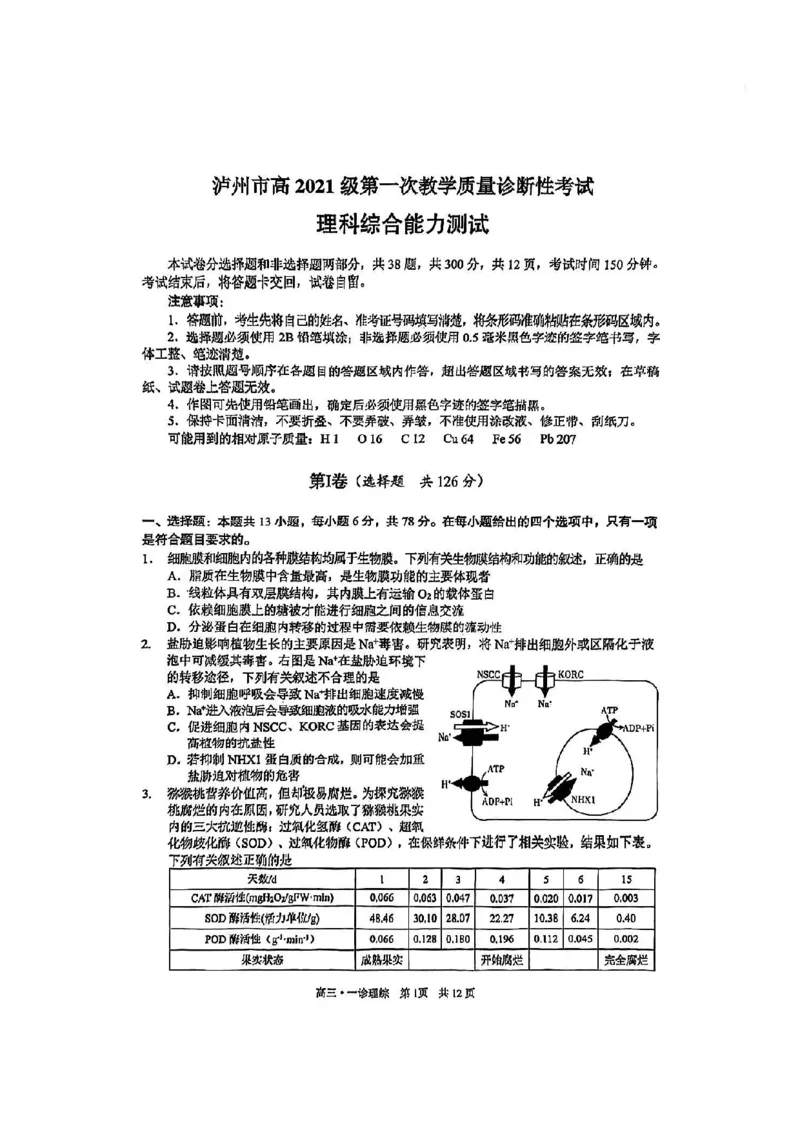泸州市高2021级第一次教学质量诊断性考试理综(1)_2023年11月_0211月合集_2024届四川省泸州市第一次教学质量诊断性考试_四川省泸州市高2024届第一次教学质量诊断性考试理综