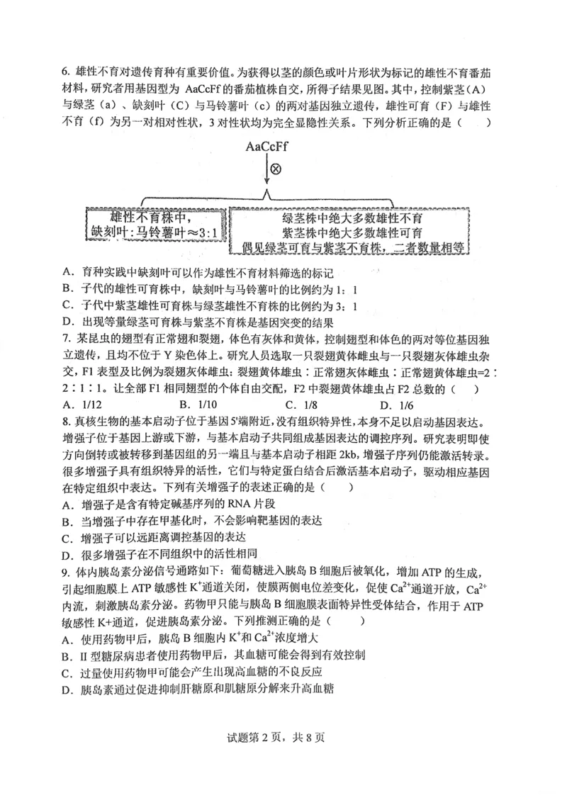 华中师范大学第一附属中学2024-2025学年高三上学期10月月度检测生物试卷_2024-2025高三（6-6月题库）_2024年10月试卷