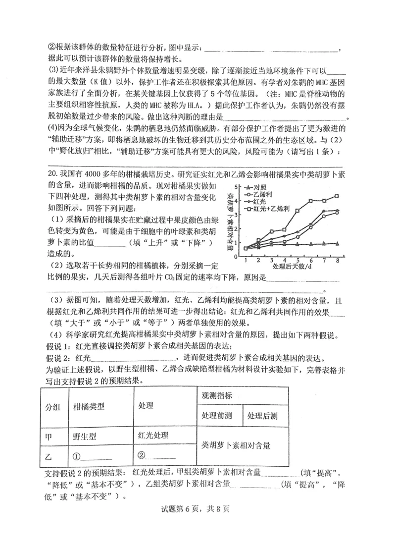 华中师范大学第一附属中学2024-2025学年高三上学期10月月度检测生物试卷_2024-2025高三（6-6月题库）_2024年10月试卷