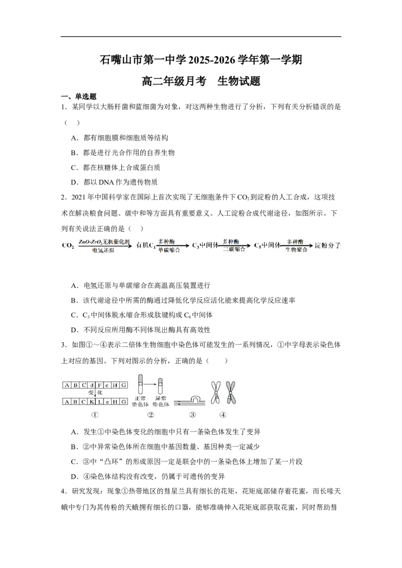 bioo_2025年10月高二试卷_251030宁夏回族自治区石嘴山市第一中学2025-2026学年高二上学期10月月考(全）_宁夏回族自治区石嘴山市第一中学2025-2026学年高二上学期10月月考生物试题（含答案）