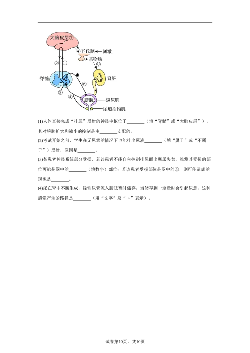 bioo_2025年10月高二试卷_251030宁夏回族自治区石嘴山市第一中学2025-2026学年高二上学期10月月考(全）_宁夏回族自治区石嘴山市第一中学2025-2026学年高二上学期10月月考生物试题（含答案）