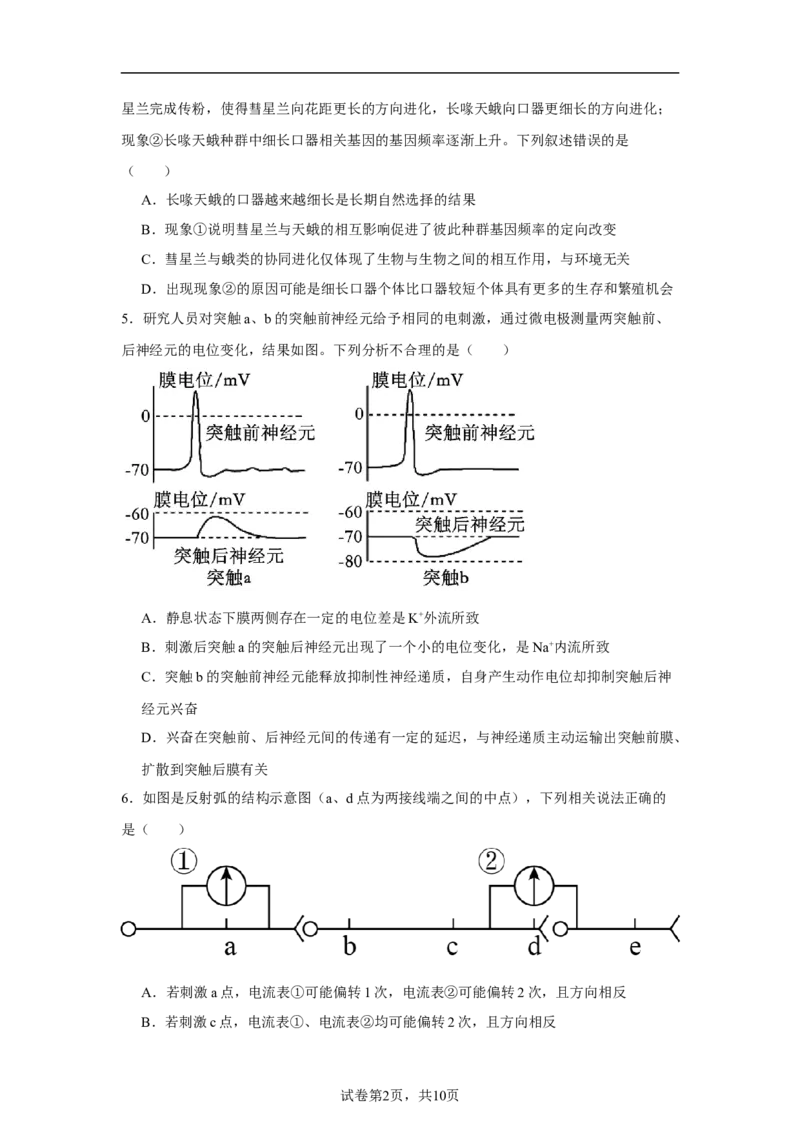 bioo_2025年10月高二试卷_251030宁夏回族自治区石嘴山市第一中学2025-2026学年高二上学期10月月考(全）_宁夏回族自治区石嘴山市第一中学2025-2026学年高二上学期10月月考生物试题（含答案）