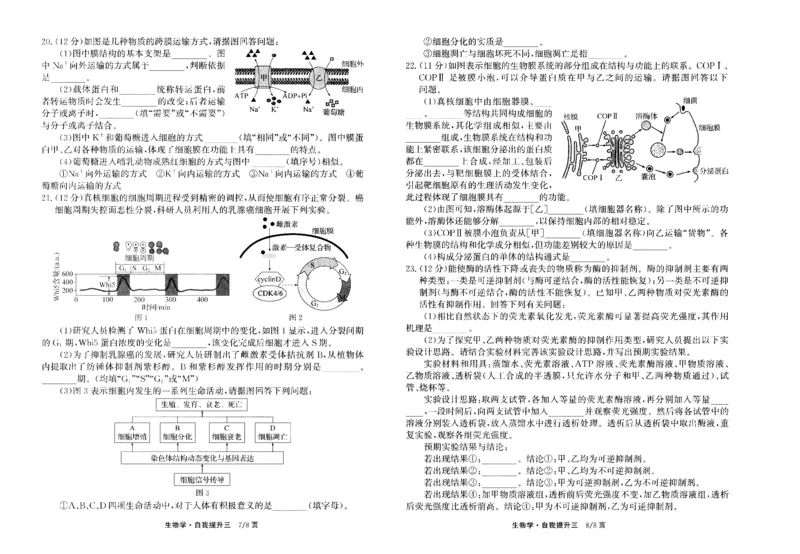 河北省衡水市冀州区河北冀州中学2024-2025学年高三上学期12月月考生物_2024-2025高三（6-6月题库）_2024年12月试卷