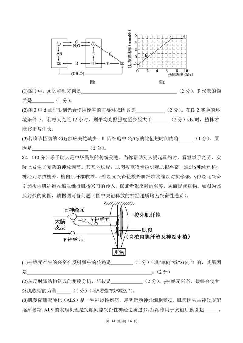 曲靖一中2024届高三第四次月考理综试卷(1)_2023年11月_0211月合集_2024届云南省曲靖市第一中学高三上学期第四次月考_云南省曲靖市第一中学2024届高三上学期第四次月考理综