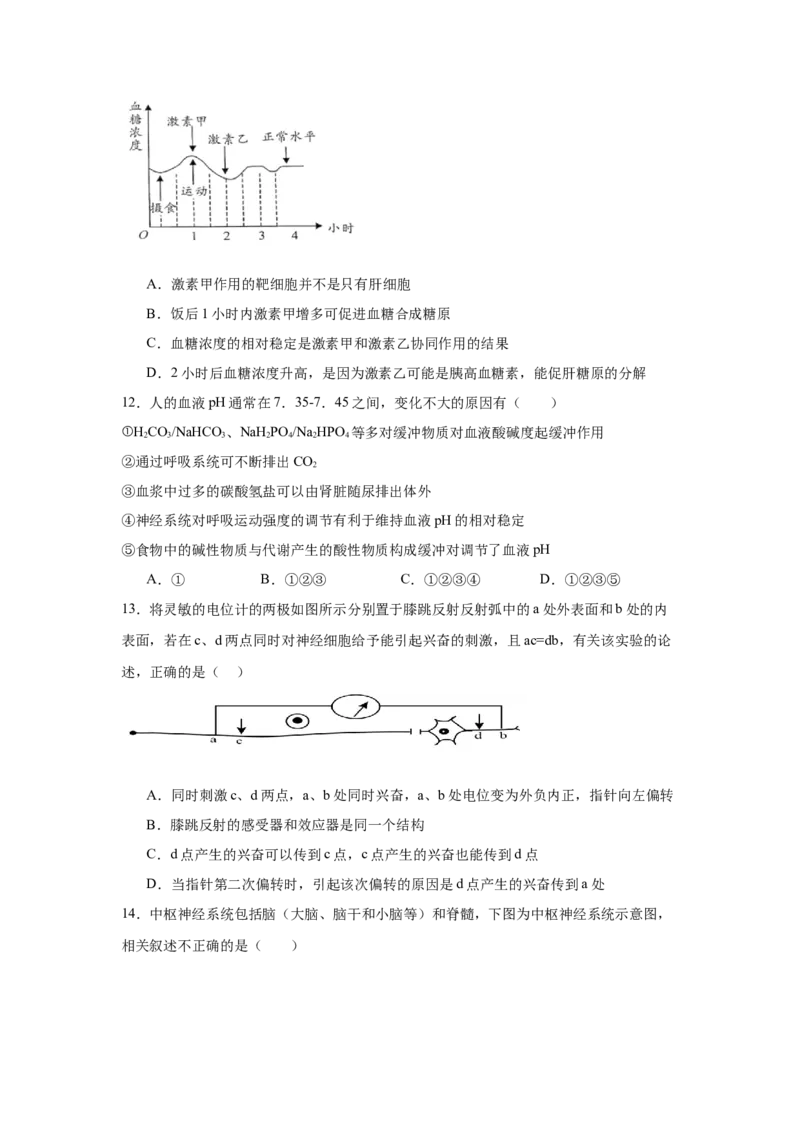 安徽省六安市独山中学2024-2025学年高二下学期2月月考生物学试题（含答案）_2024-2025高二（7-7月题库）_2025年03月试卷_0306安徽省六安市独山中学2024-2025学年高二下学期2月月考