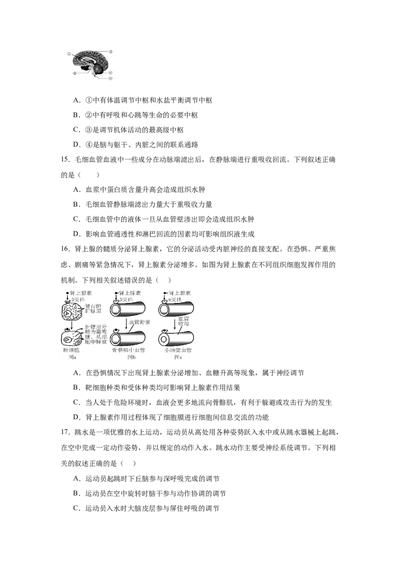 安徽省六安市独山中学2024-2025学年高二下学期2月月考生物学试题（含答案）_2024-2025高二（7-7月题库）_2025年03月试卷_0306安徽省六安市独山中学2024-2025学年高二下学期2月月考