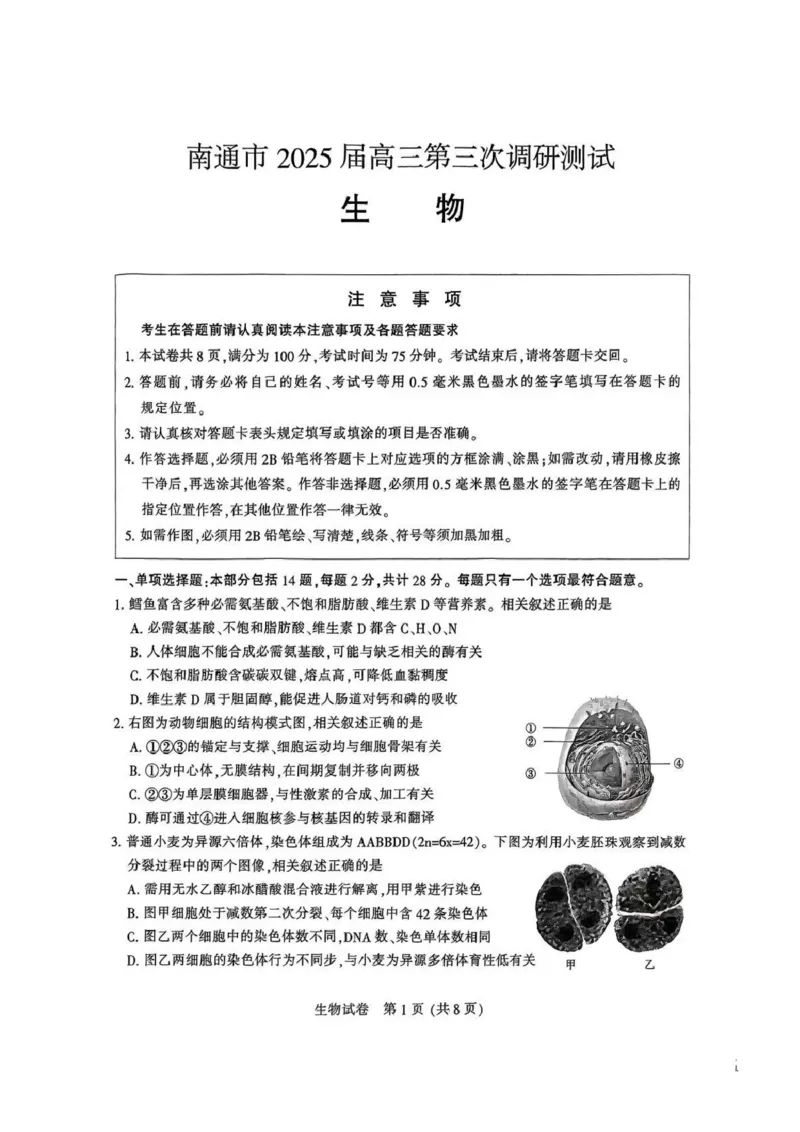 江苏省南通市2025届高三第三次调研暨苏北七市（宿迁、连云港、淮安、扬州、泰州、盐城、徐州）生物+答案_2024-2025高三（6-6月题库）_2025年05月试卷
