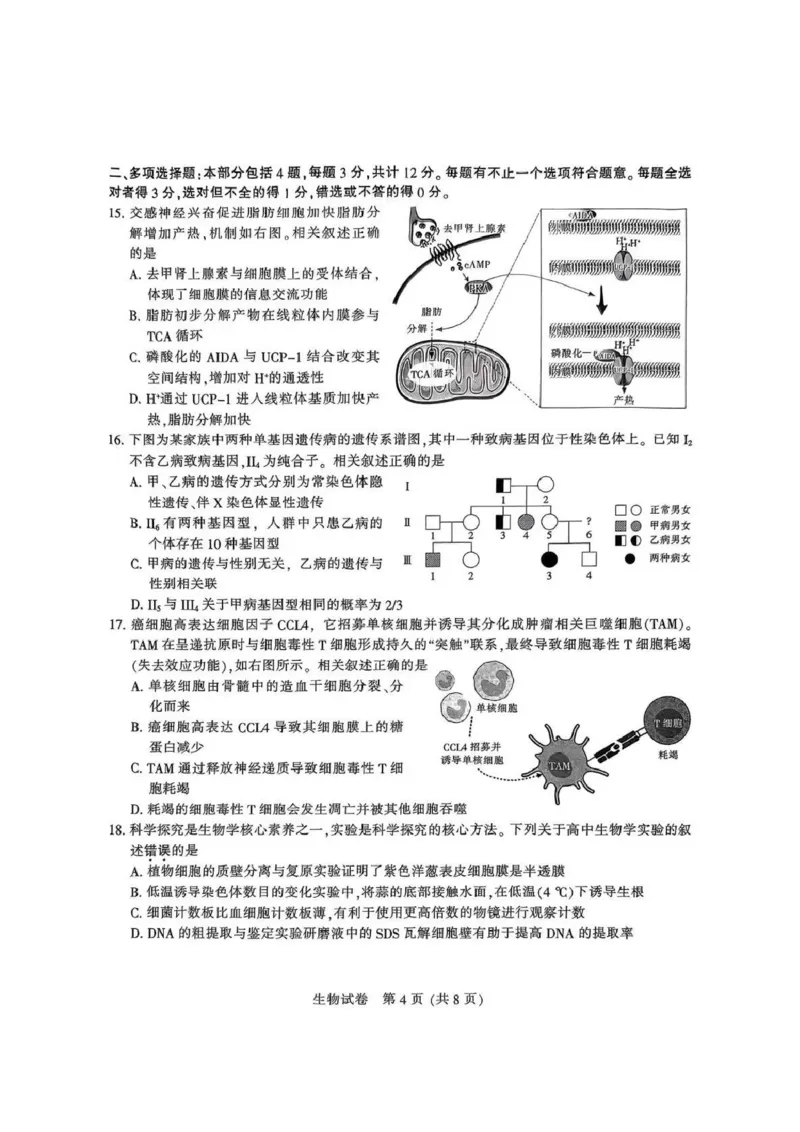 江苏省南通市2025届高三第三次调研暨苏北七市（宿迁、连云港、淮安、扬州、泰州、盐城、徐州）生物+答案_2024-2025高三（6-6月题库）_2025年05月试卷