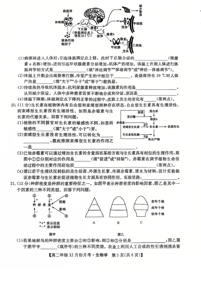 河北省沧州市十校2024-2025学年高二上学期12月月考试题生物PDF版含解析_2024-2025高二（7-7月题库）_2025年01月试卷_0107河北省沧州市十校2024-2025学年高二上学期12月月考试题