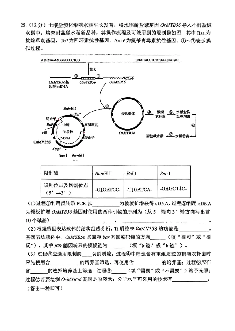 山东省泰山教育联盟2025届高三4月联考生物_2024-2026高三（6-6月题库）_2025年04月试卷_0422山东省泰山教育联盟2024-2025学年高三下学期4月联考（二模）（全科）