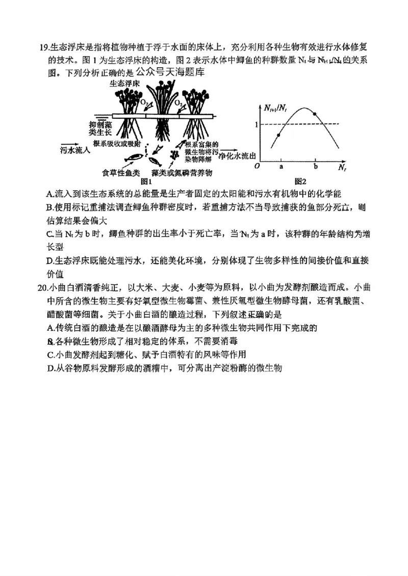 山东省泰山教育联盟2025届高三4月联考生物_2024-2026高三（6-6月题库）_2025年04月试卷_0422山东省泰山教育联盟2024-2025学年高三下学期4月联考（二模）（全科）