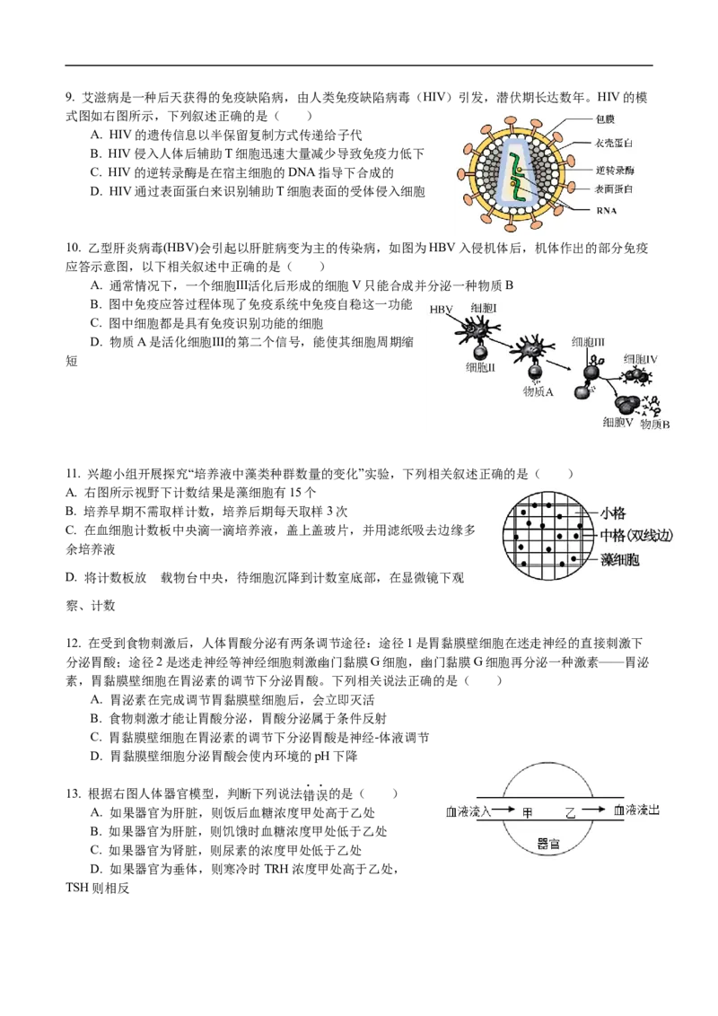 广东省东莞市七校2025-2026学年高二上学期期中考试生物试题_2024-2025高二（7-7月题库）_2026年1月高二_260106广东省东莞市七校2025-2026学年高二上学期期中联考试题