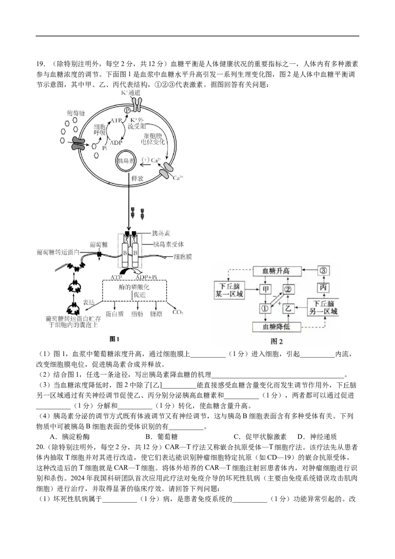 广东省东莞市七校2025-2026学年高二上学期期中考试生物试题_2024-2025高二（7-7月题库）_2026年1月高二_260106广东省东莞市七校2025-2026学年高二上学期期中联考试题