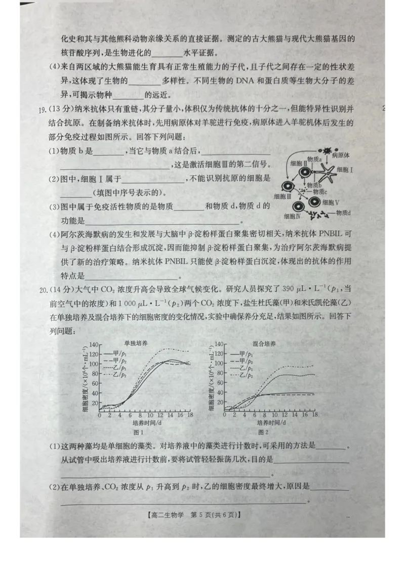 桂林十二县中学2025-12月联考高二生物试卷_2024-2025高二（7-7月题库）_2026年1月高二_260104广西壮族自治区桂林市十二县中学等2025-2026学年高二上学期12月期中
